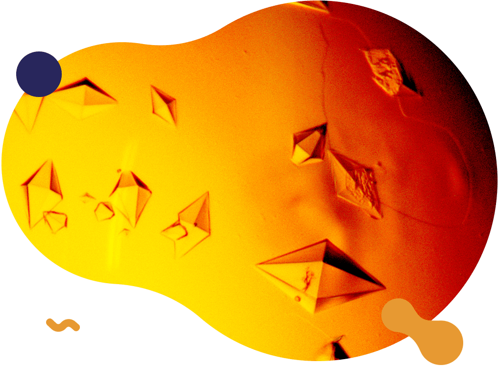 Slider actualités Institut de Microbiologie de la Méditerranée