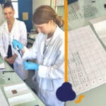 accueille de quatre étudiant·es dans le cadre de PLINIUS Cursus initiation à l’analyse protéomique par spectrométrie de masse LC-MS/MS.