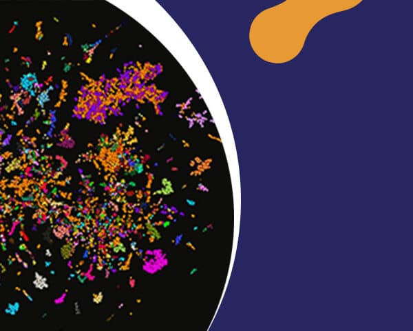 Publication L’intelligence artificielle et les modèles de langages protéiques pour déchiffrer les génomes viraux